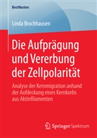 Linda Brochhausen - Die Aufprägung und Vererbung der Zellpolarität