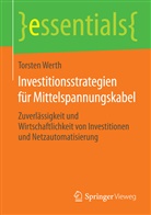 Torsten Werth - Investitionsstrategien für Mittelspannungskabel
