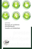 Lavinia Grosu, Grosu-l - Exergie et systemes energetiques