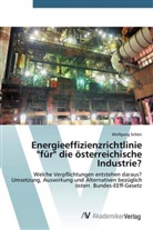 Wolfgang Schön - Energieeffizienzrichtlinie "für" die österreichische Industrie?