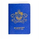 Robin Jacobs - Passport An Activity Book