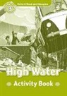 Paul Shipton - High Water Activity Book