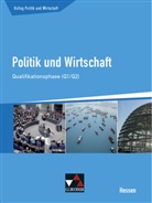 Stepha Benzmann, Stephan Benzmann, Sabrina Reinhardt, Kerste Ringe, Kersten Ringe, Martin Tschirner... - Kolleg Politik und Wirtschaft, Ausgabe Hessen: Politik und Wirtschaft He Qualifikationsphase Q1/2