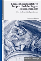 Johannes Klösges, Markus Graulich, Heriber Hallermann, Heribert Hallermann, Matthias Pulte - Ehenichtigkeitsverfahren bei psychisch bedingten Konsensmängeln