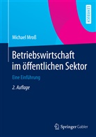 Michael Mroß - Betriebswirtschaft im öffentlichen Sektor