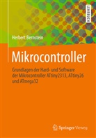 Herbert Bernstein - Mikrocontroller