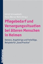 Ulric Schneekloth, Ulrich Schneekloth, Wahl, Hans-Werner Wahl - Pflegebedarf und Versorgungssituation bei älteren Menschen in Heimen