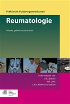 D L Baeten, D. L. Baeten, D.L. Baeten, J N Belo, J. N. Belo, J.N. Belo... - Reumatologie