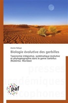 Arame Ndiaye, Ndiaye-a - Biologie evolutive des gerbilles