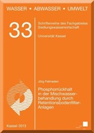 J&ouml;rg Felmeden - Phosphorr&uuml;ckhalt in der Mischwasserbehandlung durch Retentionsbodenfilter-Anlagen
