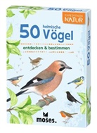Carola von Kessel, Anita van Saan, Arno Kolb, Thomas Müller - Expedition Natur - Fächer: 50 heimische Vögel entdecken & bestimmen