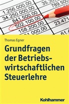 Thomas Egner - Grundlagen einer entscheidungsorientierten Steuerlehre