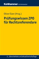 Olive Elzer, Oliver Elzer, Doerth Fleischer, Doerthe Fleischer, Ludolf von Saldern, Christiane Simmler... - Prüfungswissen ZPO für Rechtsreferendare