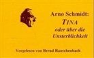Arno Schmidt - TINA oder über die Unsterblichkeit, 1 Cassette