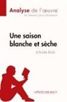Célia Ramain, Natach Cerf, Natacha Cerf, Lepetitlitteraire, lePetitLittéraire fr, lePetitLittéraire. fr... - Une saison blanche et sèche d'André Brink (Analyse de l'oeuvre)