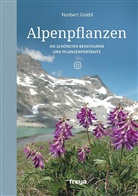 Norbert Griebl - Alpenpflanzen