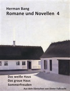 Herman Bang - Romane und Novellen 4
