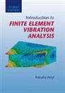 Maurice Petyt - Introduction to Finite Element Vibration Analysis