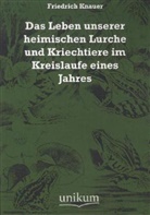 Friedrich Knauer - Das Leben unserer heimischen Lurche und Kriechtiere im Kreislaufe eines Jahres