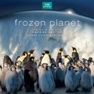 George Fenton - Frozen Planet, 1 Audio-CD (Soundtrack) (Audio book)