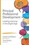 Joseph M Sanfelippo, Joseph M M Sanfelippo, Joseph M. Sanfelippo, Joseph M. M. Sinanis Sanfelippo, Joseph M. Sinanis Sanfelippo, Tony Sinanis - Principal Professional Development