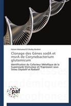 El shafey ibrahim-h, Hatem Mohamed El Shafey Ibrahim - Clonage des genes soda et msra de