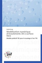 Xiaofei Kong, Kong-x - Modelisation numerique d