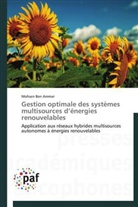 Ammar-m, Mohsen Ben Ammar - Gestion optimale des systemes