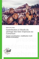 Merlin Simo Tagne, Tagne-m - Contribution a l etude du sechage