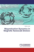 Mahdi Jamali - Magnetization Dynamics in Magnetic Nanoscale Devices