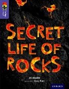 Jo Bourne, Serge Seidlitz - Oxford Reading Tree Treetops Infact: Level 11: Secret Life of Rocks