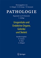 Wolfgang Remmele, Kerstin Amann, Renat Kain, Renate Kain, Günter Klöppel - Pathologie