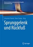 Johanne Hamel, Johannes Hamel, Zwipp, Zwipp, Hans Zwipp - Sprunggelenk und Rückfuß