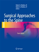 Rober G Watkins III, Robert G Watkins III, G Watkins IV, G Watkins IV, III Watkins, IV Watkins... - Surgical Approaches to the Spine