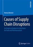 Verena Brenner - Causes of Supply Chain Disruptions