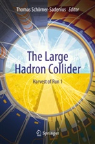 Thoma Schörner-Sadenius, Thomas Schörner-Sadenius - Large Hadron Collider