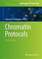 Srikumar P Chellappan, Srikumar P. Chellappan, Srikuma P Chellappan, Srikumar P Chellappan - Chromatin Protocols