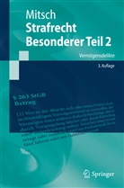 Manfred Maiwald, Reinhart Maurach, Wolfgang Mitsch, Friedrich-Christian Schroeder - Strafrecht, Besonderer Teil - 2/1: Strafrecht, Besonderer Teil 2. Tl.1