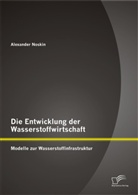 Alexander Noskin - Die Entwicklung der Wasserstoffwirtschaft: Modelle zur Wasserstoffinfrastruktur