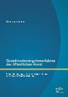 Christoph Oehlke - Grundstücksvergabeverfahren der öffentlichen Hand: Rahmenbedingungen, Verfahrenskonzeptionen und Software-Tool-Entwicklung