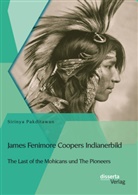 Sirinya Pakditawan - James Fenimore Coopers Indianerbild: The Last of the Mohicans und The Pioneers