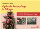 Hans H. Möller, Hans Heinrich Möller - Optimale Rosenpflege in Bildern