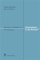 Åke Lundeberg, Staffa Michelson, Staffan Michelson - Prozessieren in der Schweiz