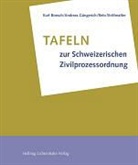 Kurt Boesch, Andreas Güngerich, Reto Strittmatter - Tafeln zur Schweizerischen Zivilprozessordnung