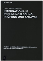 Gerrit Brösel, Rainer Kasperzak - Internationale Rechnungslegung, Prüfung und Analyse