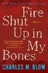Charles M. Blow - Fire Shut Up in My Bones