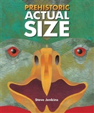 Steve Jenkins - Prehistoric Actual Size