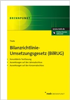 Carsten Theile, Carsten (Prof. Dr.) Theile - Bilanzrichtlinie-Umsetzungsgesetz (BilRUG)