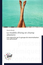 Maxime Baczyk, Baczyk-m - Le modele d ising en champ aleatoir