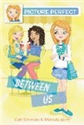 Melinda Metz, Cari Simmons, Cari Metz Simmons - Picture Perfect #4: Between Us